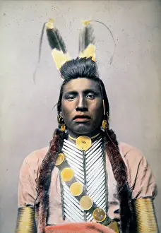 Wrinkled: Chief White Bull