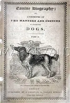 Responding: CHIEN SAVANT 1750