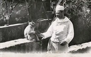 Sylvanus: Chiffa, Blida, Algeria - Chef feeds an Old Barbary Macaque