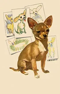Seems: Chihuahua and Child Art