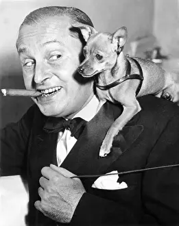 Chihuahua: Chihuahua considering taking up cigar smoking