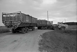 Transports: Chiksky state farm