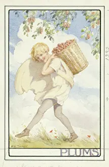 Plumb: A child with basket of plums under plum tree