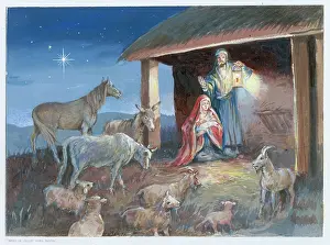 And a Child was Born - Nativity scene with animals approachi