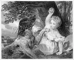 Teases: CHILD, DOG AND BALL