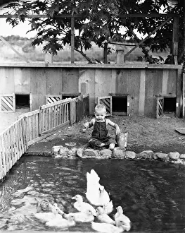 Farmyards: Child at edge of duck pond