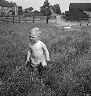 Weatherboarded: Child In The Grass