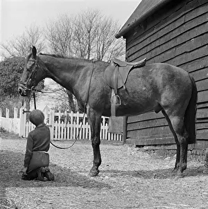 Saddled: Child And Horse