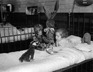Sickbed: CHILD IN HOSPITAL BED