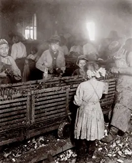 Shucking: Child labor, scene in a canning factory, ?