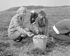 Finda: Child labour