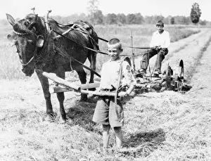 Plowing: Child labour in agriculture, 1933