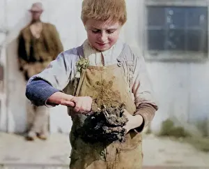 Hine: Child labour - social issues - employment and labour