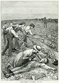 Entrepreneurs: Child labour working in the fields