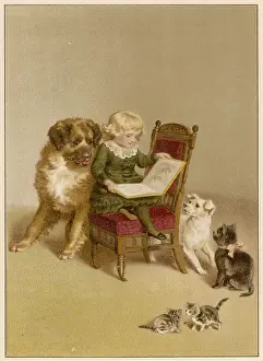 Distract: CHILD, PETS & BOOK