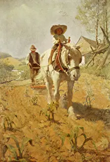 Plow: Child Riding Plowhorse