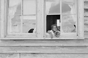 Shahn: Child - Sharecropper - Poverty - Rural