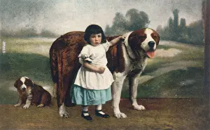 Bernards: CHILD AND ST BERNARDS