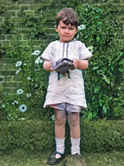 Tortoises: Child with two tortoises in a garden
