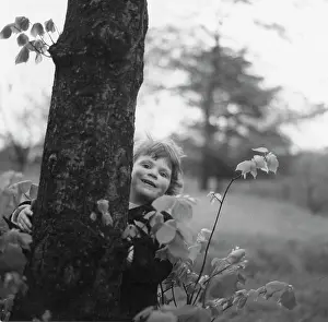 Pops: Child behind a tree trunk