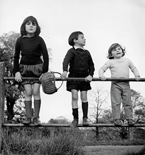 Hight: Three children in age order standing on a railing