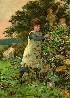 Blackberrying: Children blackberrying