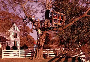 Classic Stock: Six Children Climbing Up into Tree Tree House
