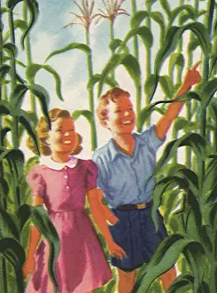 Cornfield: Children of the Corn