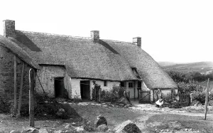 Whitewash: Children and Cottages in Devon 1909