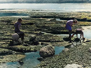 Atcolourisedpic: CHILDREN CRABBING