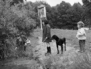 Wellies: Three children and a dog in a park