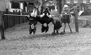 Exuberant: Four children doing acrobatics on a railing