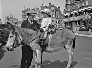 Stirrups: Two children with a donkey at the seaside