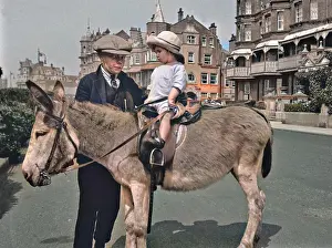 Stirrups: Two children with a donkey at the seaside