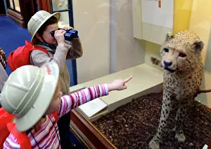 Cheetah: Children with Explorer Packs