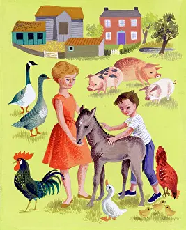 Cockerels: Children on the Farm