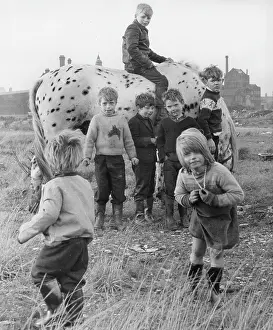 Spotty: Children in a field with a dappled horse