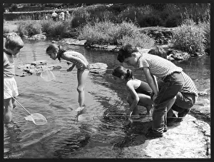 Deeper: CHILDREN FISH IN STREAM