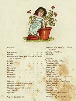 Geraniums: CHILDREN/FLOWERS 1884