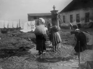Forage: Children on a foraging trip, 1919