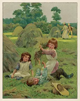 Hayfield: CHILDREN/HAYFIELD 1888