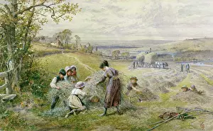 Hayfield: Children in a Hayfield