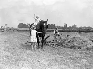 Barnaby: CHILDREN HAYMAKING