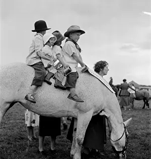 Widdicombe: Children On A Horse