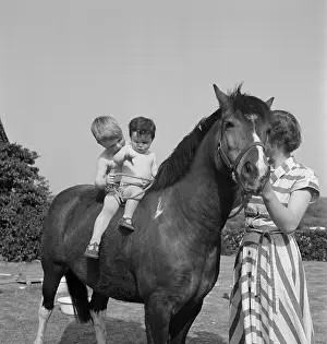 Horseriding: Children horseriding