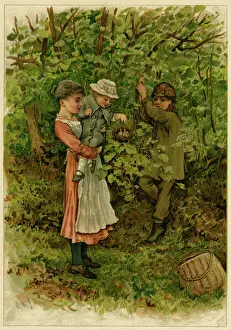 Nestlings: Children looking at a nest