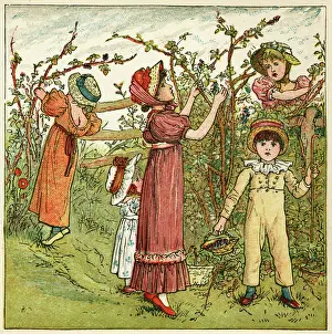 Blackberries: Five children picking blackberries