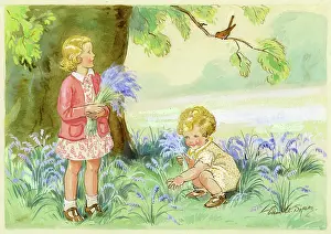 Children picking bluebells
