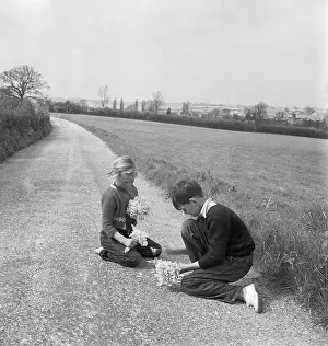 Cowslips: Children Picking Flowers