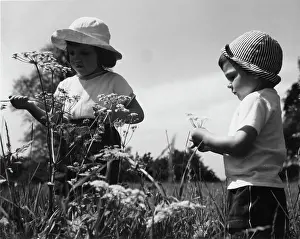 Parsley: Two children picking flowers